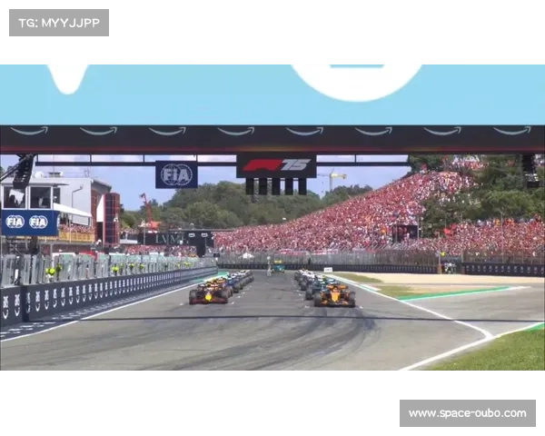 维斯塔潘起步切线精准，一号弯超车奠定胜局